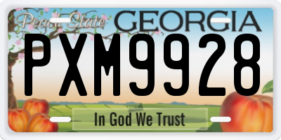 GA license plate PXM9928