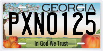 GA license plate PXN0125