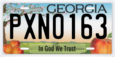 GA license plate PXN0163
