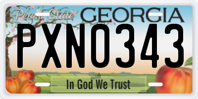 GA license plate PXN0343