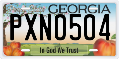 GA license plate PXN0504