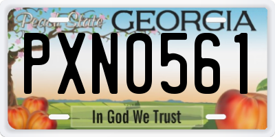 GA license plate PXN0561