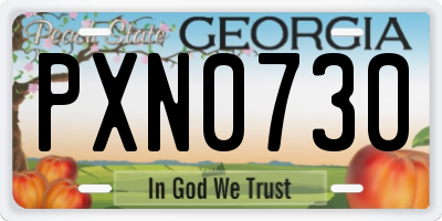 GA license plate PXN0730