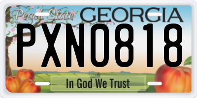 GA license plate PXN0818
