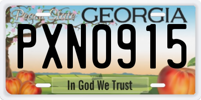 GA license plate PXN0915