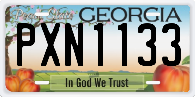 GA license plate PXN1133