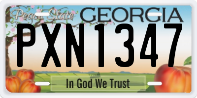 GA license plate PXN1347