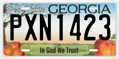 GA license plate PXN1423
