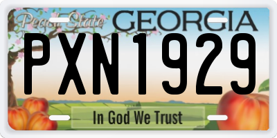 GA license plate PXN1929