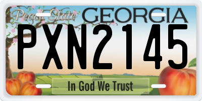GA license plate PXN2145