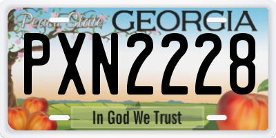 GA license plate PXN2228