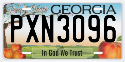GA license plate PXN3096