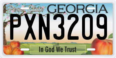 GA license plate PXN3209