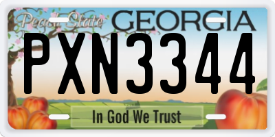 GA license plate PXN3344