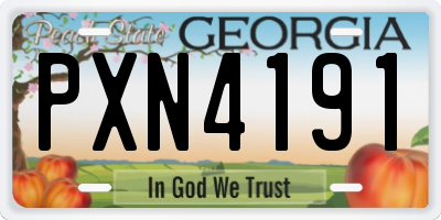 GA license plate PXN4191