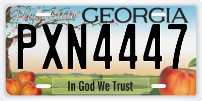 GA license plate PXN4447