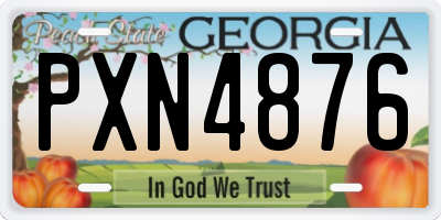 GA license plate PXN4876