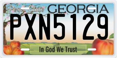 GA license plate PXN5129