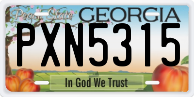 GA license plate PXN5315