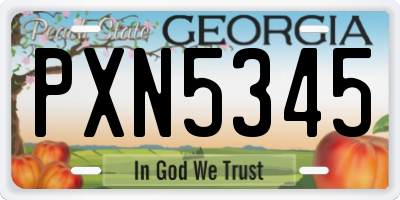 GA license plate PXN5345
