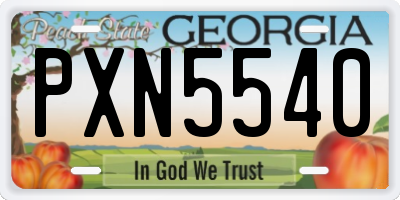 GA license plate PXN5540