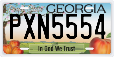 GA license plate PXN5554