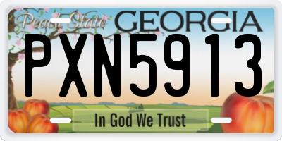 GA license plate PXN5913