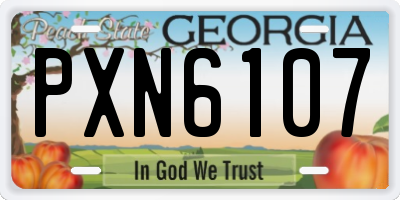 GA license plate PXN6107