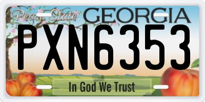 GA license plate PXN6353