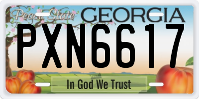 GA license plate PXN6617