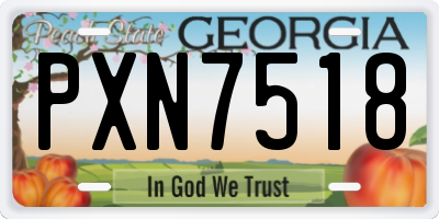 GA license plate PXN7518