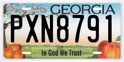 GA license plate PXN8791