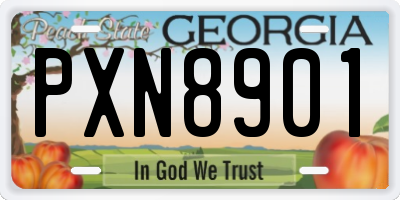 GA license plate PXN8901