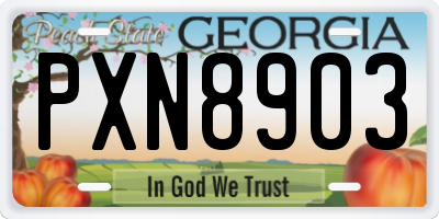 GA license plate PXN8903