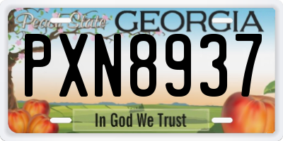 GA license plate PXN8937