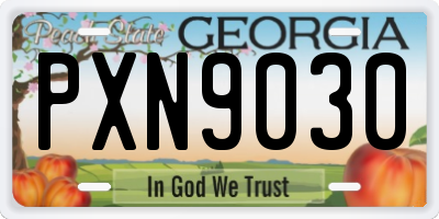 GA license plate PXN9030