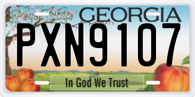 GA license plate PXN9107