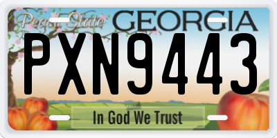 GA license plate PXN9443