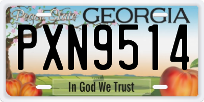 GA license plate PXN9514
