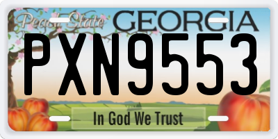 GA license plate PXN9553