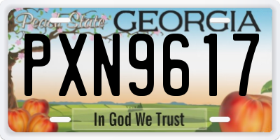 GA license plate PXN9617