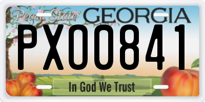 GA license plate PXO0841