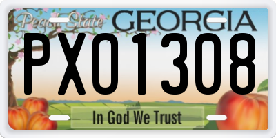 GA license plate PXO1308