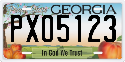 GA license plate PXO5123