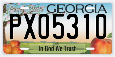 GA license plate PXO5310