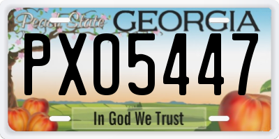 GA license plate PXO5447