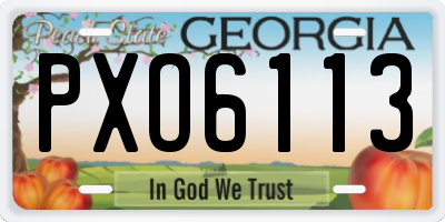 GA license plate PXO6113