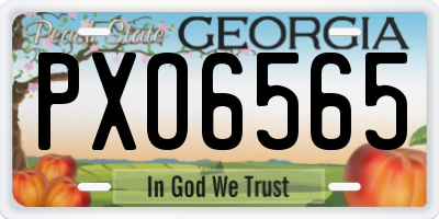 GA license plate PXO6565