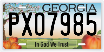 GA license plate PXO7985