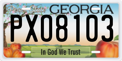 GA license plate PXO8103